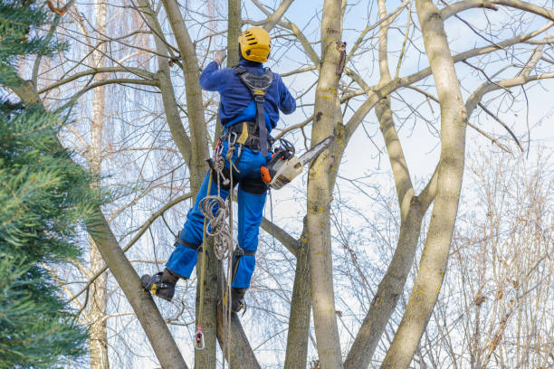 Mulching Services in Cornwells Heights, PA